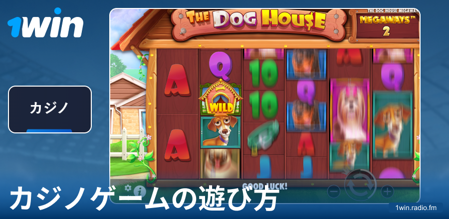 1Win JPカジノゲームの遊び方