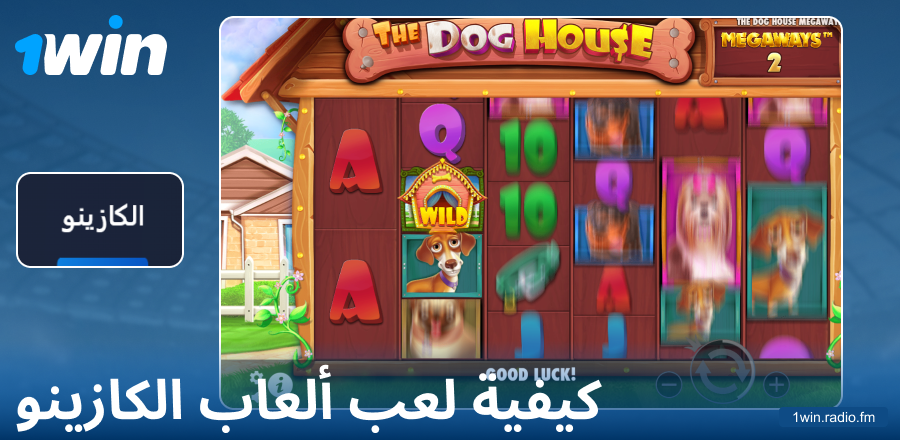 دليل اللعب في كازينو 1Win