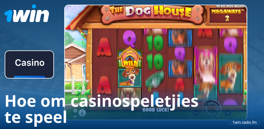 Gids oor speel by die 1Win casino