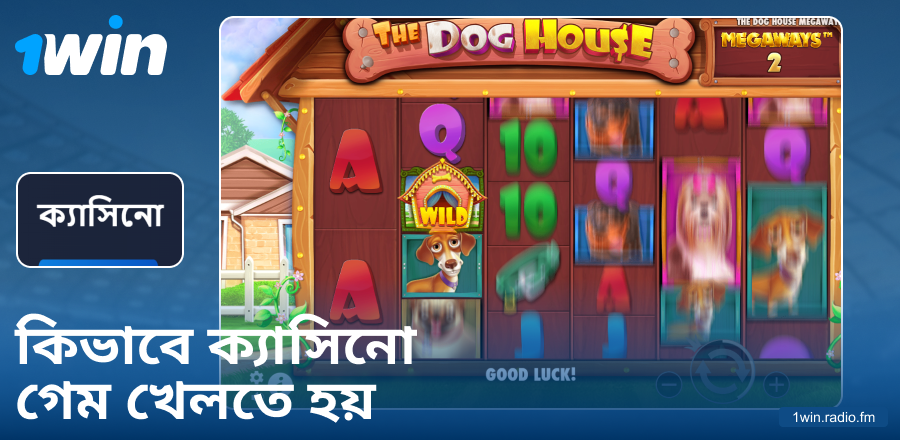 1Win BN ক্যাসিনো খেলার নির্দেশিকা