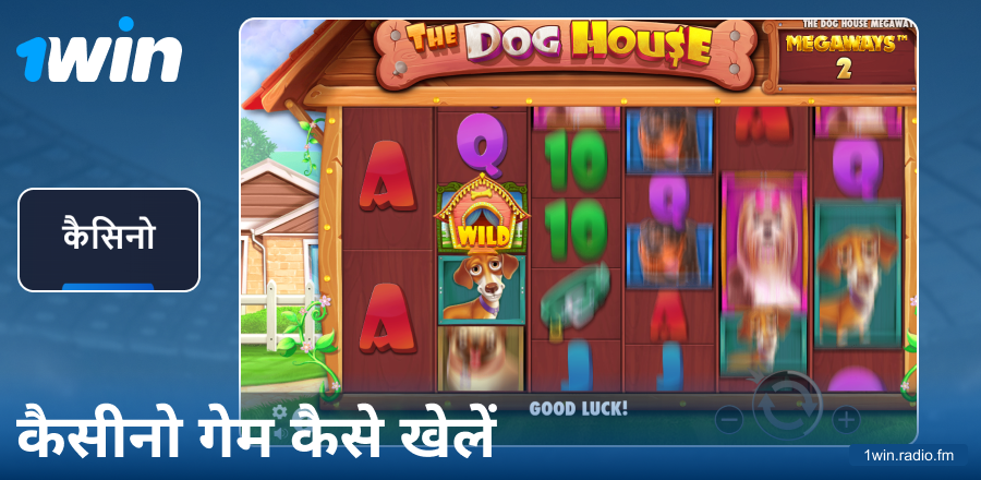 1Win IN कैसीनो गेम्स गाइड