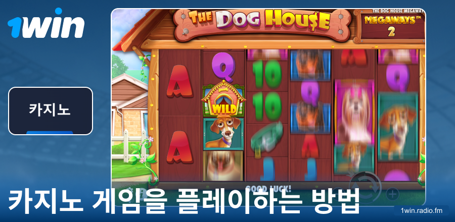 1Win KR 카지노 게임 매뉴얼