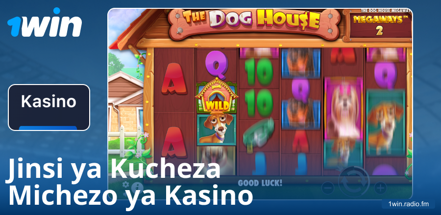 Mwongozo wa Kucheza katika Kasino ya 1Win
