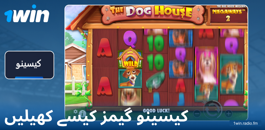 1Win PK کیسینو گیم کھیلنے کی ہدایت