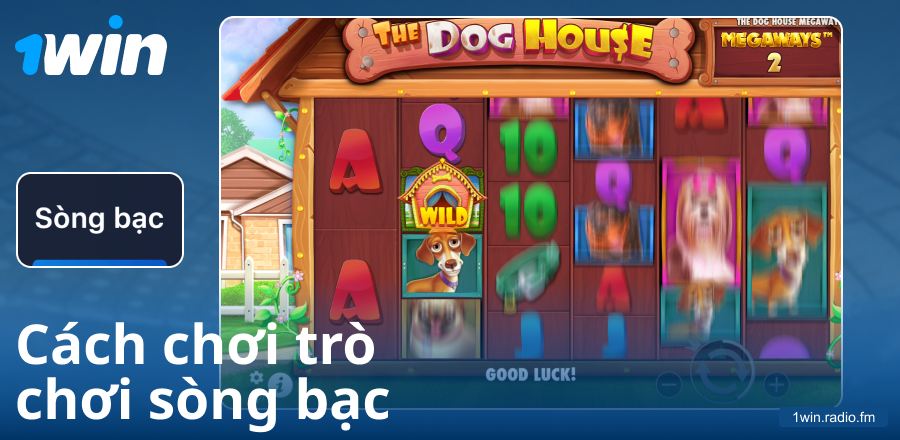 Hướng dẫn cách chơi tại sòng bạc 1Win VN